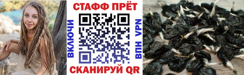 Купить Бошки Шишки  А ПВП  Бутират  Гашиш  Мефедрон  КОКАИН  Сортавала