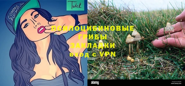 амф Алексин