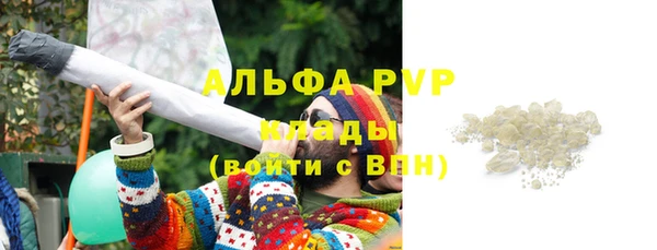 амф Алексин