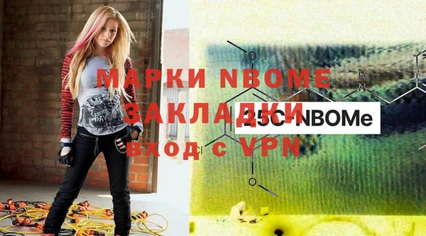 прущие грибы Алзамай