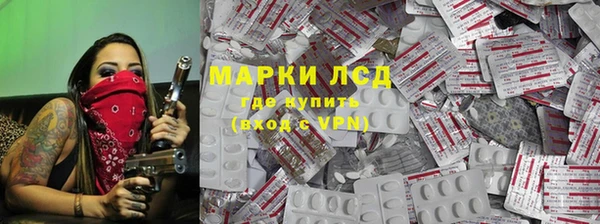прущие грибы Алзамай