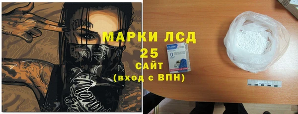 прущие грибы Алзамай