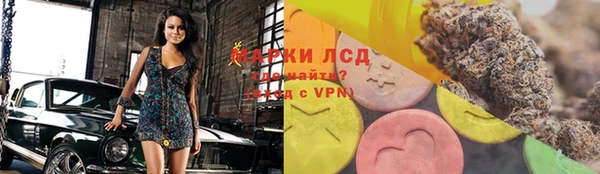 прущие грибы Алзамай
