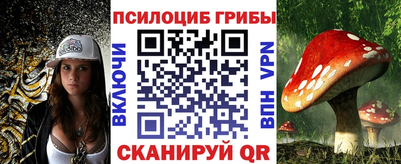 Купить закладки  Сортавала  Псилоцибиновые грибы прущие грибы 